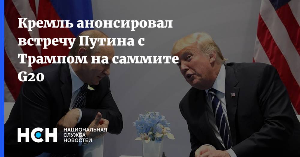Дональд Трамп - Владимир Путин - Юрий Ушаков - Кремль анонсировал встречу Путина с Трампом на саммите G20 - nsn.fm - Россия - США