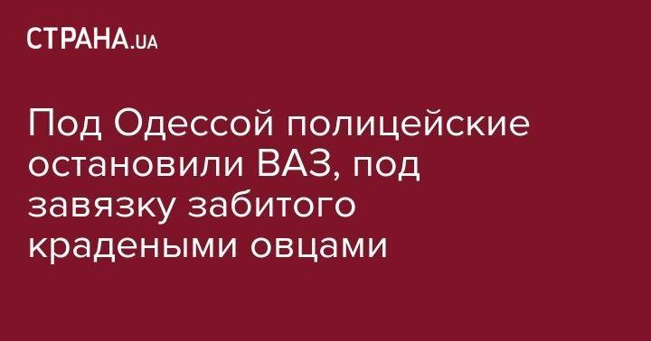 Под Одессой полицейские остановили ВАЗ, под завязку забитого крадеными овцами - strana.ua - Одесская обл. - район Болградский