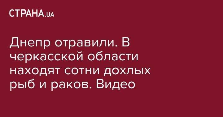 Днепр отравили. В черкасской области находят сотни дохлых рыб и раков. Видео - strana.ua - Киев - Черкасская обл.