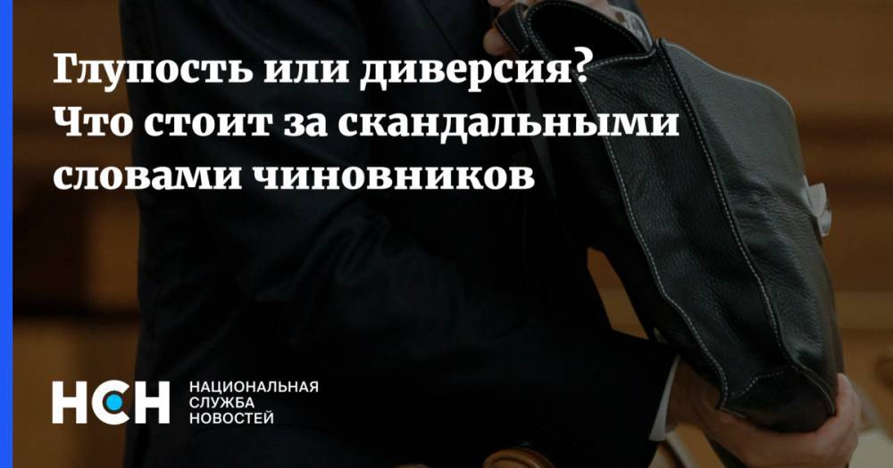 Владимир Сипягин - Глупость или диверсия? Что стоит за скандальными словами владимирской чиновницы - nsn.fm - Владимирская обл.