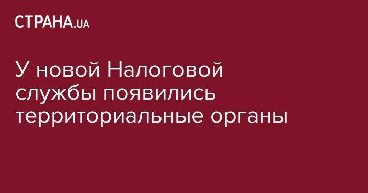Владимир Гройсман - У новой Налоговой службы появились территориальные органы - strana.ua - Украина