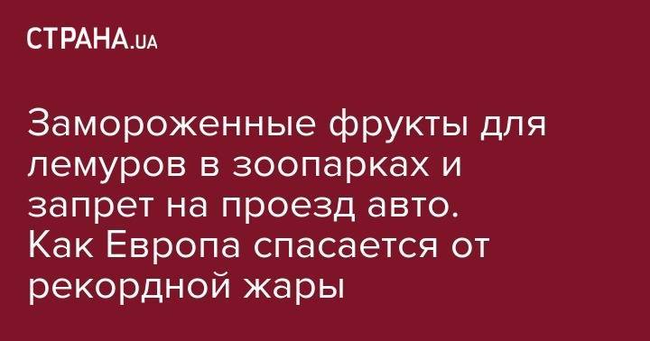 Замороженные фрукты для лемуров в зоопарках и запрет на проезд авто. Как Европа спасается от рекордной жары - strana.ua - Швейцария - Италия - Германия - Франция - Польша - Испания - Чехия