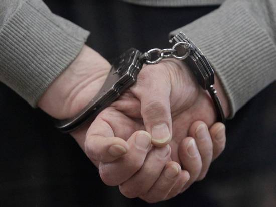 Наталия Губернаторова - Задержан педофил, изнасиловавший пятилетнего сына квартирантки карандашом - vestirossii.com - Московская обл.