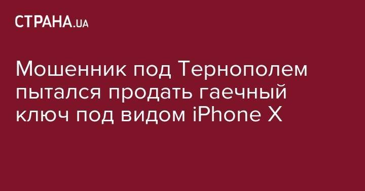 Мошенник под Тернополем пытался продать гаечный ключ под видом iPhone Х - strana.ua - Тернопольская обл.