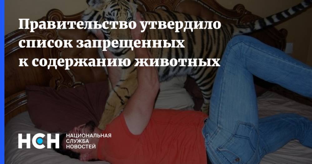 Дмитрий Медведев - Правительство утвердило список запрещенных к содержанию животных - nsn.fm - Россия