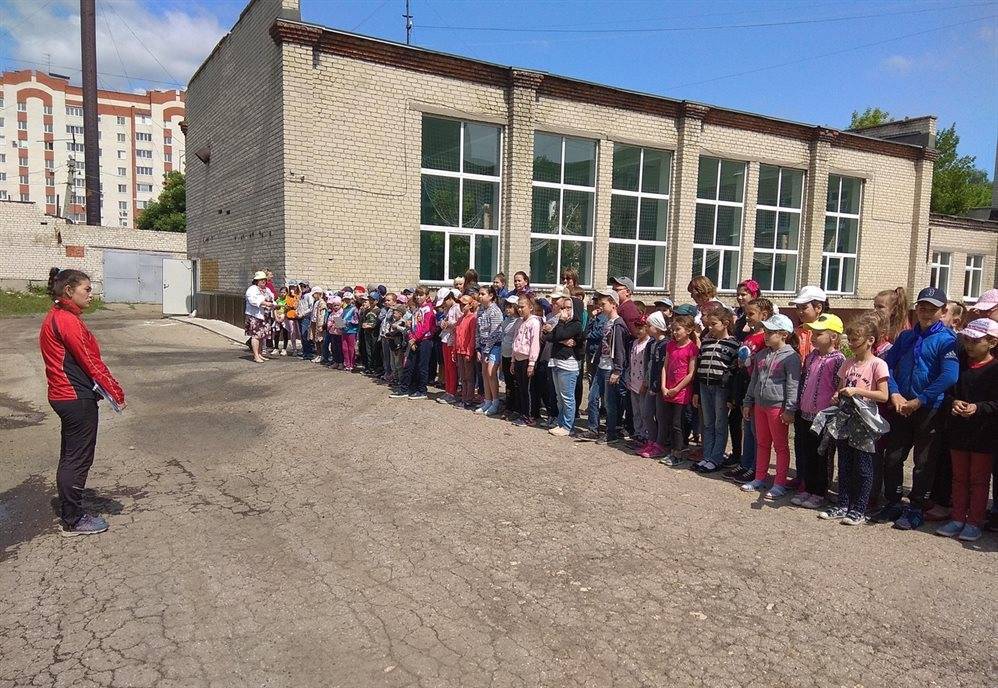 Дмитрий Федоров - Ульяновские школьники сдали 10 тонн макулатуры, чтобы накормить лошадей - ulpravda.ru - Ульяновск - Ульяновская