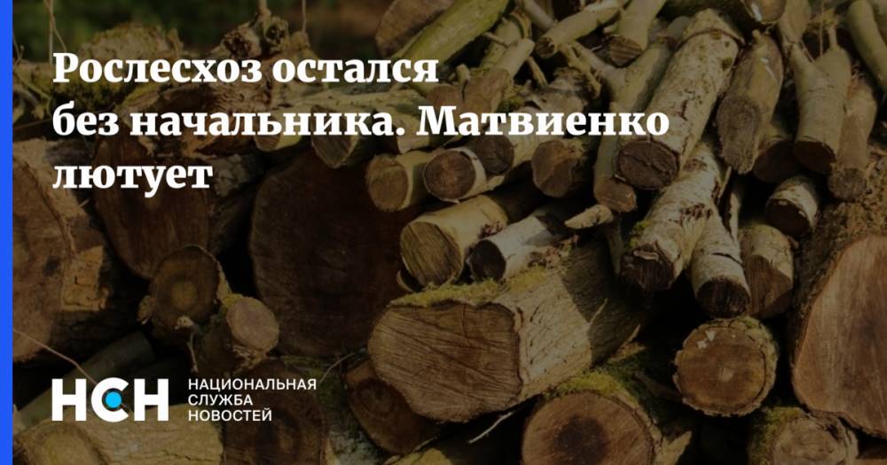 Дмитрий Медведев - Валентина Матвиенко - Рослесхоз остался без начальника. Матвиенко лютует - nsn.fm