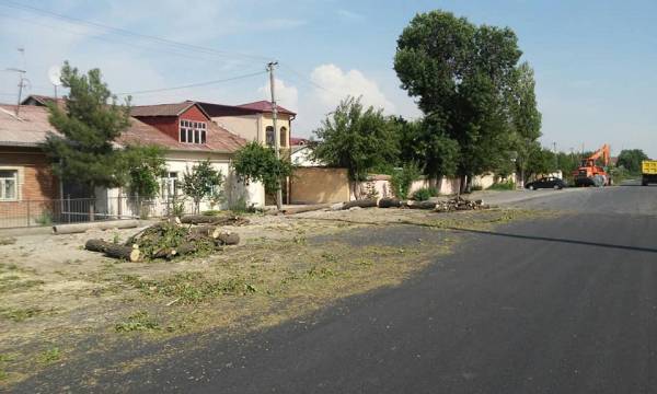 Ташкентскую улицу оставили без деревьев | Вести.UZ - vesti.uz - район Яшнабадский