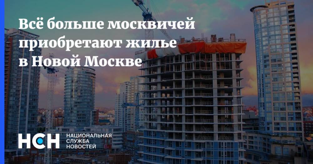 Владимир Жидкин - Всё больше москвичей приобретают жилье в Новой Москве - nsn.fm - Москва