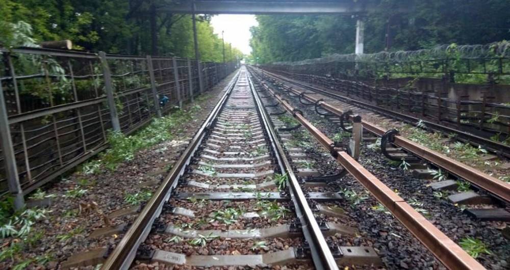 На Филевской линии метро восстановлено движение поездов - m24.ru
