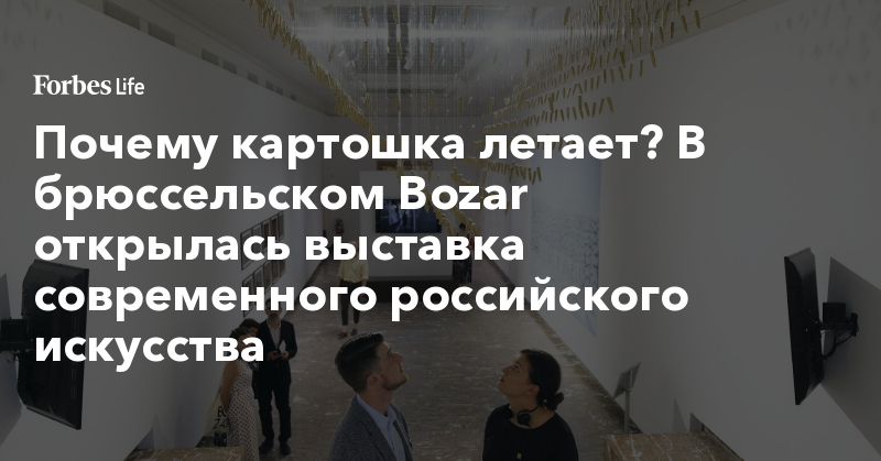 Почему картошка летает? В брюссельском Bozar открылась выставка современного российского искусства - forbes.ru - Нижний Новгород - Красноярск - Владивосток - ГДР - Амстердам