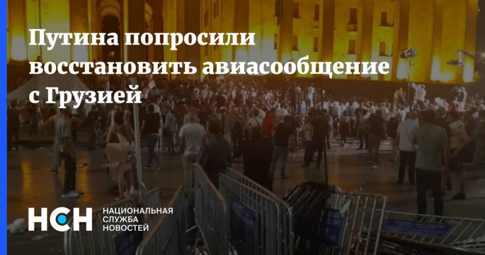 Владимир Путин - Red Wings - Путина попросили восстановить авиасообщение - nsn.fm - Россия - Грузия