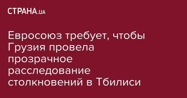 Сергей Гаврилов - Евросоюз требует, чтобы Грузия провела прозрачное расследование столкновений в Тбилиси - strana.ua - Грузия - Голландия - Тбилиси