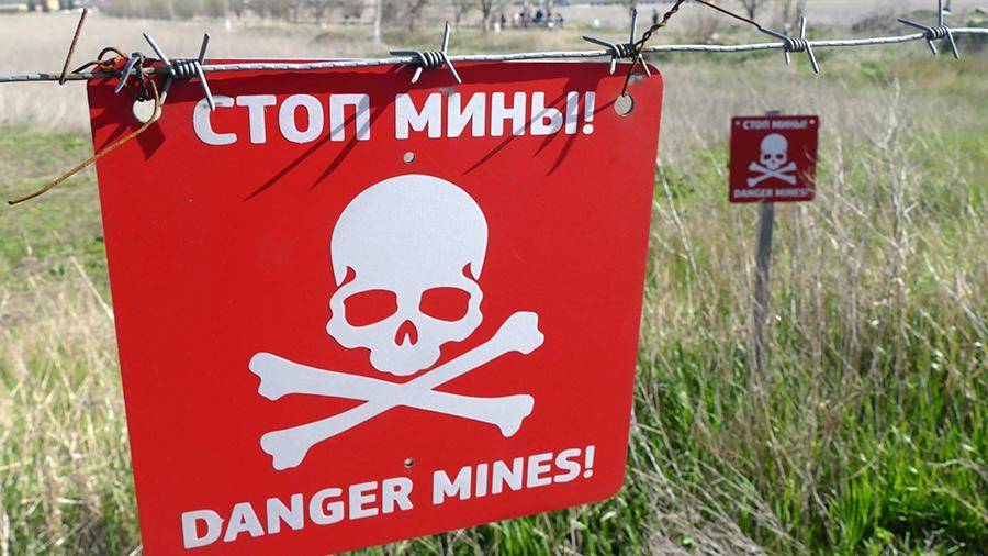 Иван Филипоненко - ВСУшники нервно отгораживаются минами от ЛНР - news-front.info - ЛНР - станица Луганской