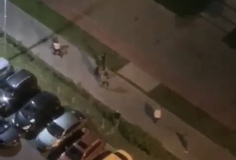 Военнослужащего убили ножом в драке под Красногорском - m24.ru - Московская обл. - Красногорск