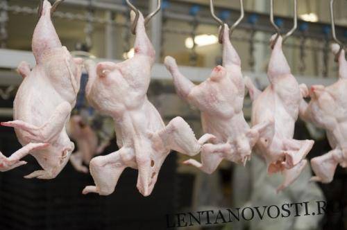 Россия настойчива в стремлении начать поставки в Филиппины мяса птицы - lentanovosti.ru - Париж - Филиппины