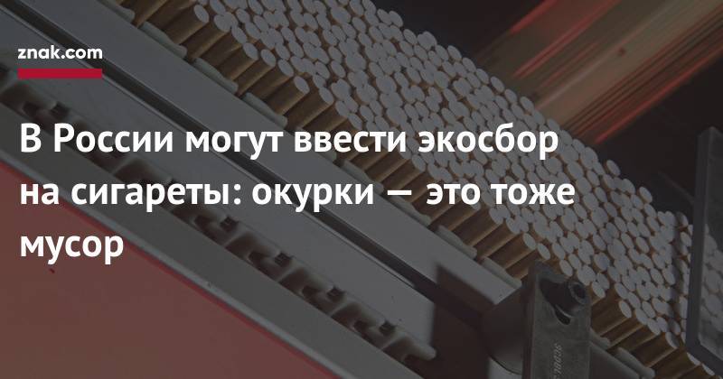 Дмитрий Кобылкин - Вероника Скворцова - В&nbsp;России могут ввести экосбор на&nbsp;сигареты: окурки&nbsp;— это тоже мусор - znak.com - Россия