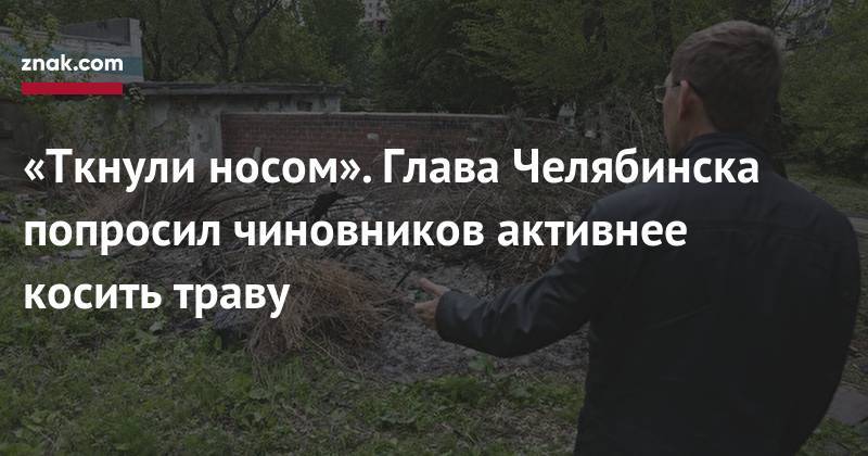«Ткнули носом». Глава Челябинска попросил чиновников активнее косить траву - znak.com - Челябинск