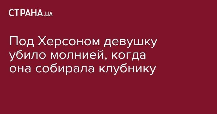 Под Херсоном девушку убило молнией, когда она собирала клубнику - strana.ua - Украина - Николаевская обл. - Херсонская обл.
