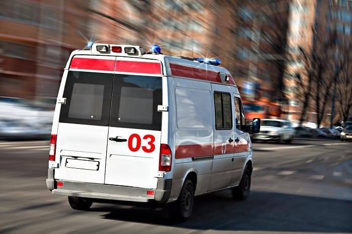 Житель Коми попал в больницу после укуса гадюки - 7info.ru - район Корткеросский - Коми