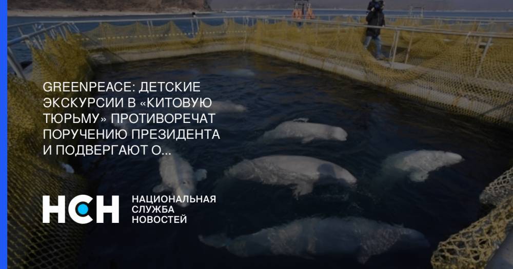 Greenpeace: Детские экскурсии в «китовую тюрьму» противоречат поручению президента и подвергают опасности детей - nsn.fm - Россия - Приморье край