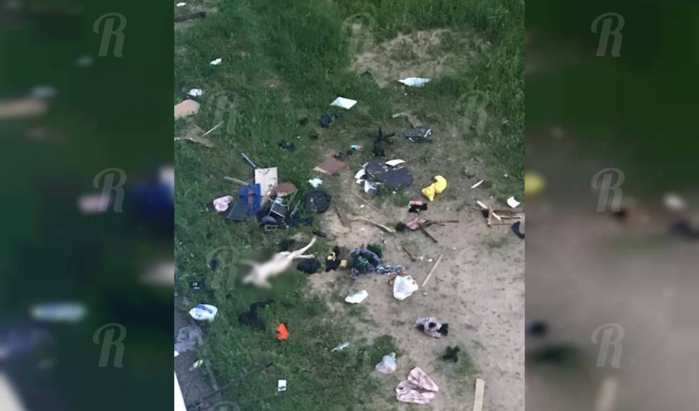 Следователи выясняют обстоятельства смерти смолянки в Заднепровье - readovka.ru - Смоленск