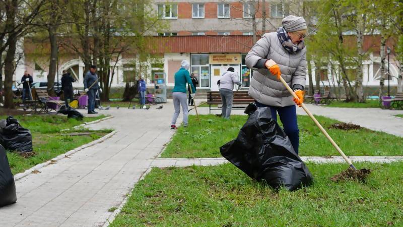 Архангельские чиновники занялись своим прямым делом. Убирали город - newsnord.ru - Архангельск