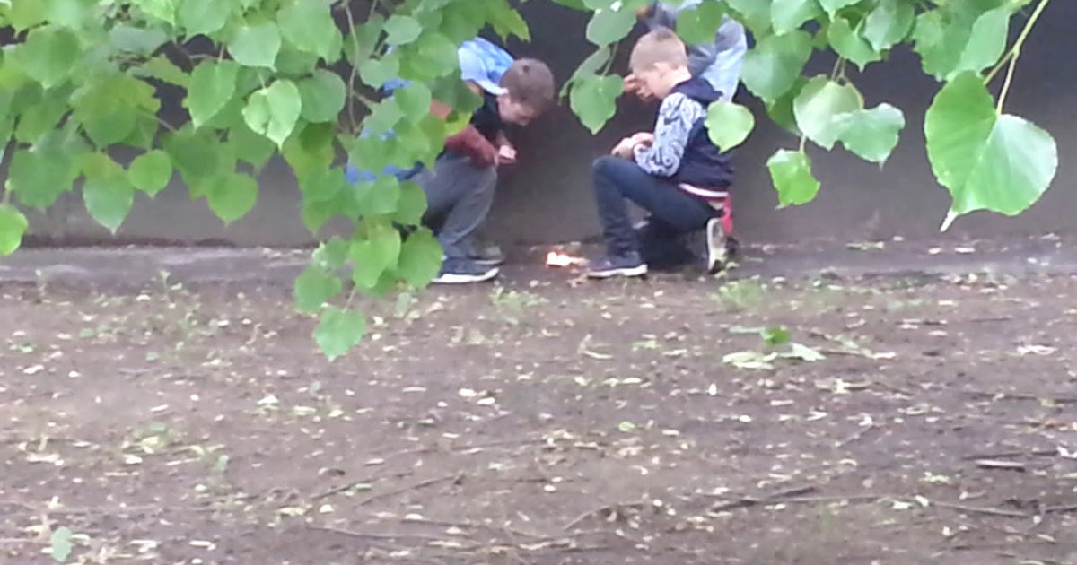 Школьники развлекаются поджогами на Королёвке в Смоленске - readovka.ru