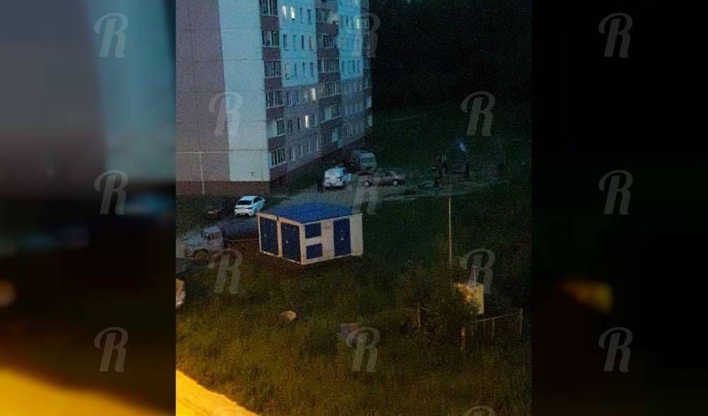 «Её задушили и сбросили»: что стало причиной смерти смолянки в Заднепровье? - readovka.ru - Смоленск