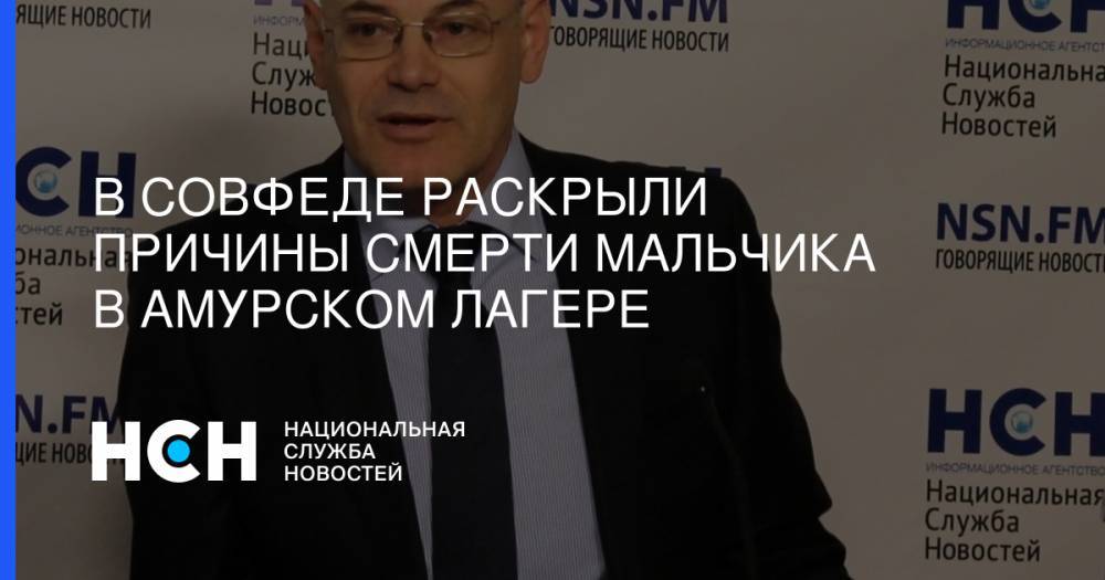 В Совфеде раскрыли причины смерти мальчика в амурском лагере - nsn.fm - Амурская обл.