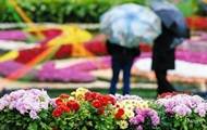 Весна-2019 стала одной из самых теплых в истории - korrespondent.net - Киев