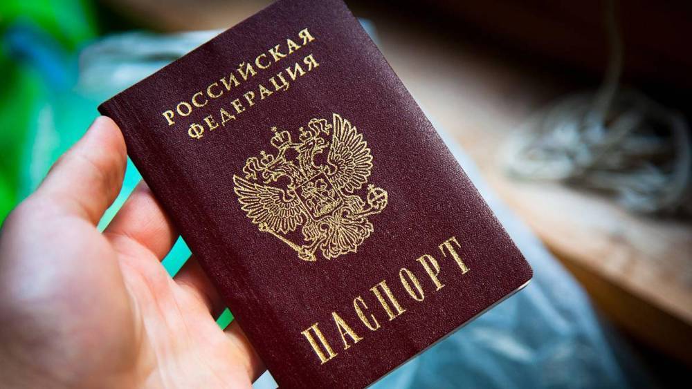 МВД РФ назвало число принятых заявлений на выдачу паспортов от жителей Донбасса - novorosinform.org - Россия - ДНР - Донецк - Ростовская обл. - ЛНР - Донбасс - Новошахтинск