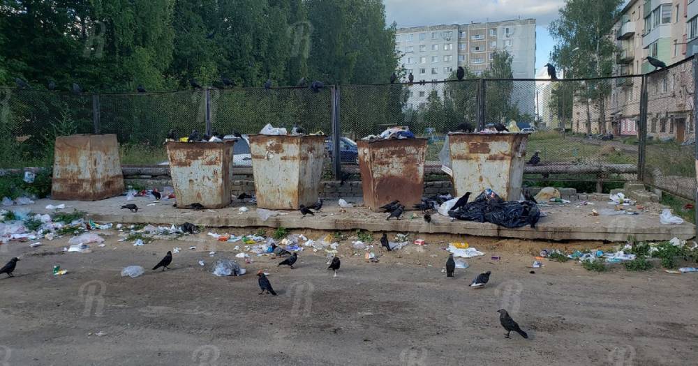 Ароматерапия от управляющей компании. Скоро, в каждой квартире Рославля - readovka.ru - Смоленск - Смоленская обл.
