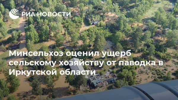 Владимир Путин - Минсельхоз оценил ущерб сельскому хозяйству от паводка в Иркутской области - vestirossii.com - Россия - Иркутская обл. - Братск