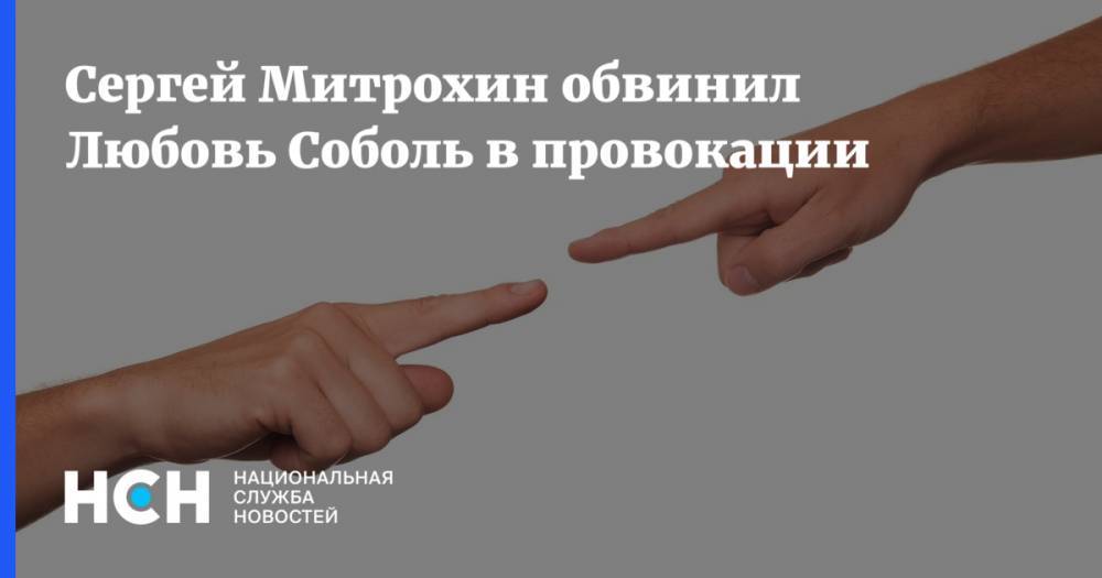Любовь Соболь - Сергей Митрохин - Леонид Волков - Андрей Соколов - Сергей Митрохин обвинил Любовь Соболь в провокации - nsn.fm - Москва