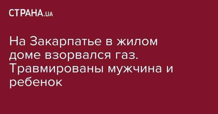 На Закарпатье в жилом доме взорвался газ. Травмированы мужчина и ребенок - strana.ua - Харьков - Запорожье