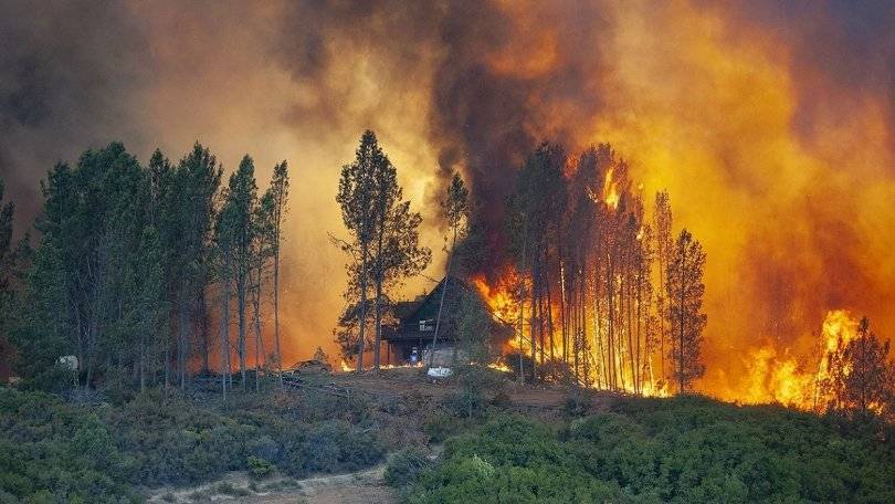 Гульназ Хайри - В Башкирии выросло число лесных пожаров по сравнению с прошлым годом - gorobzor.ru - Россия - Башкирия