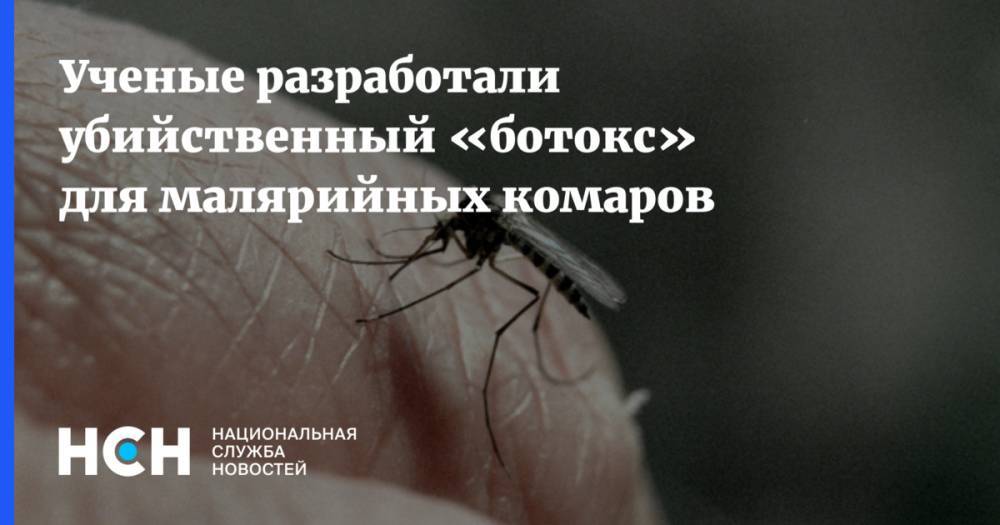 Геннадий Онищенко - Ученые разработали убийственный «ботокс» для малярийных комаров - nsn.fm - Россия