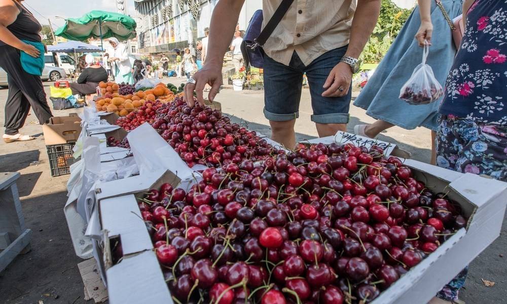 В Петрозаводске сожгли опасную черешню - gubdaily.ru - Узбекистан - Карелия - Петрозаводск