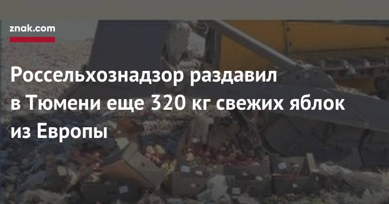 Владимир Путин - Россельхознадзор раздавил в&nbsp;Тюмени еще 320 кг&nbsp;свежих яблок из&nbsp;Европы - znak.com - Россия - Тюмень