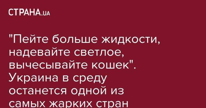 Наталья Диденко - "Пейте больше жидкости, надевайте светлое, вычесывайте кошек". Украина в среду останется одной из самых жарких стран Европы - strana.ua - Украина - Англия - Франция - Испания - Сумская обл. - Харьковская обл. - Португалия