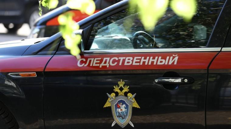 Никита Белянкин - СК&nbsp;РФ&nbsp;опубликовал видео с&nbsp;подозреваемым в&nbsp;убийстве экс-спецназовца в&nbsp;Подмосковье - 5-tv.ru - Россия - Красногорск - с. Видео