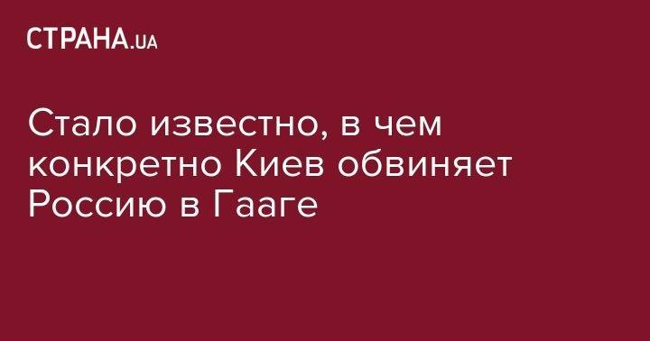 Елена Зеркаль - Стало известно, в чем конкретно Киев обвиняет Россию в Гааге - strana.ua - Россия - Украина - Киев - Гаага