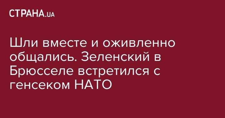 Владимир Зеленский - Йенс Столтенберг - Вадим Пристайко - Иванна Климпуш-Цинцадзе - Шли вместе и оживленно общались. Зеленский в Брюсселе встретился с генсеком НАТО - strana.ua - Украина