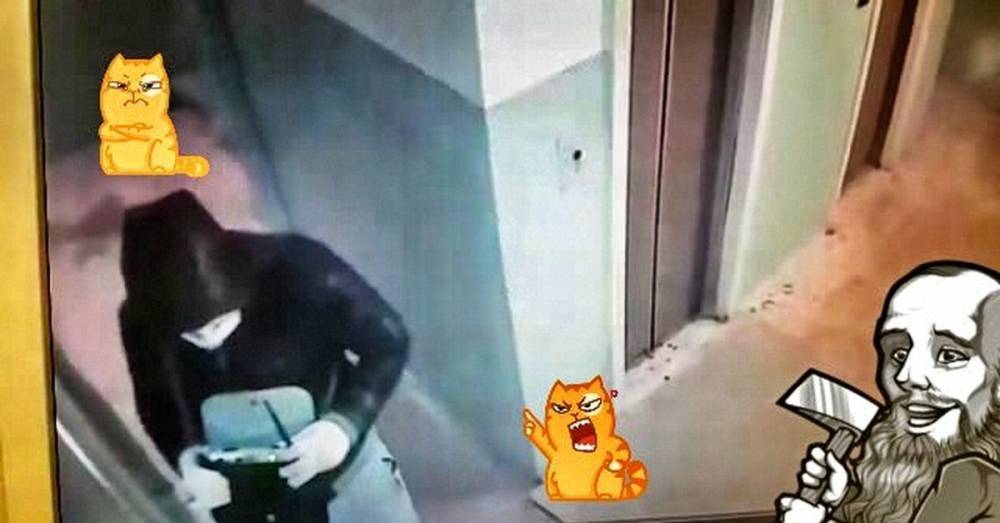 Зачем автовладельцы кладут ключи от автомобиля в микроволновку - pravda-tv.ru