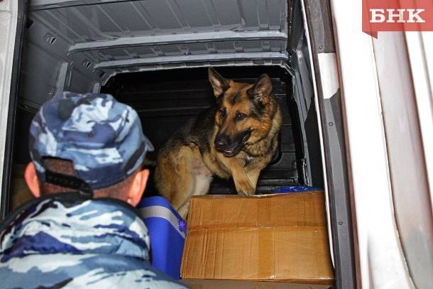 Марья Шумейко - Воркутинцы попались при получении посылки с гашишем, метамфетамином и экстези - bnkomi.ru - Санкт-Петербург - Воркуты