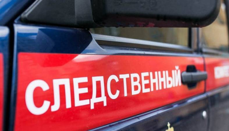 Мальчик во время игры упал с высоты: следователи проводят проверку - 365news.biz - Карелия - Петрозаводск