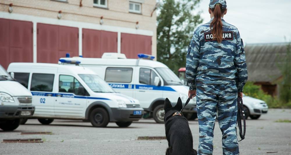 В Москве проверяют сообщения о "минировании" 200 объектов - m24.ru - Москва - Россия - Курск
