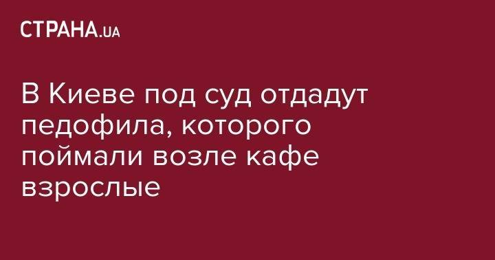 В Киеве под суд отдадут педофила, которого поймали возле кафе взрослые - strana.ua - Киев - район Оболонский