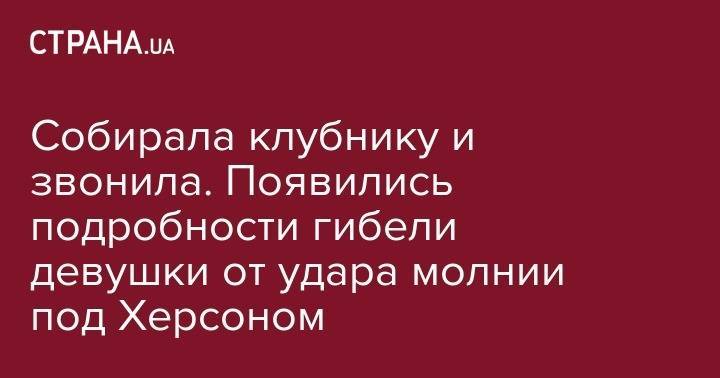 Собирала клубнику и звонила. Появились подробности гибели девушки от удара молнии под Херсоном - strana.ua - Херсонская обл.